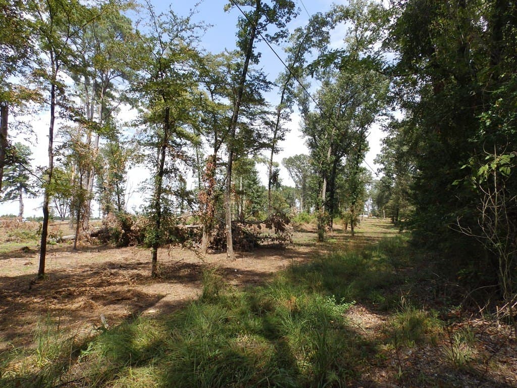 13 acres in Smith County - photo 10