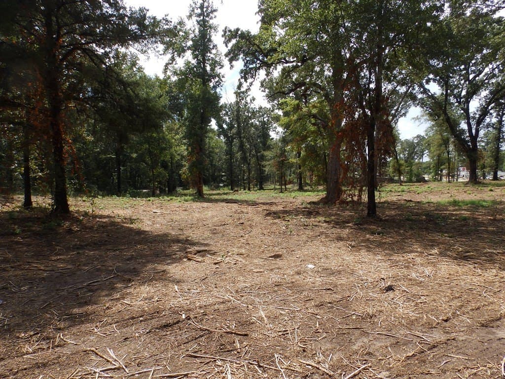 13 acres in Smith County - photo 11