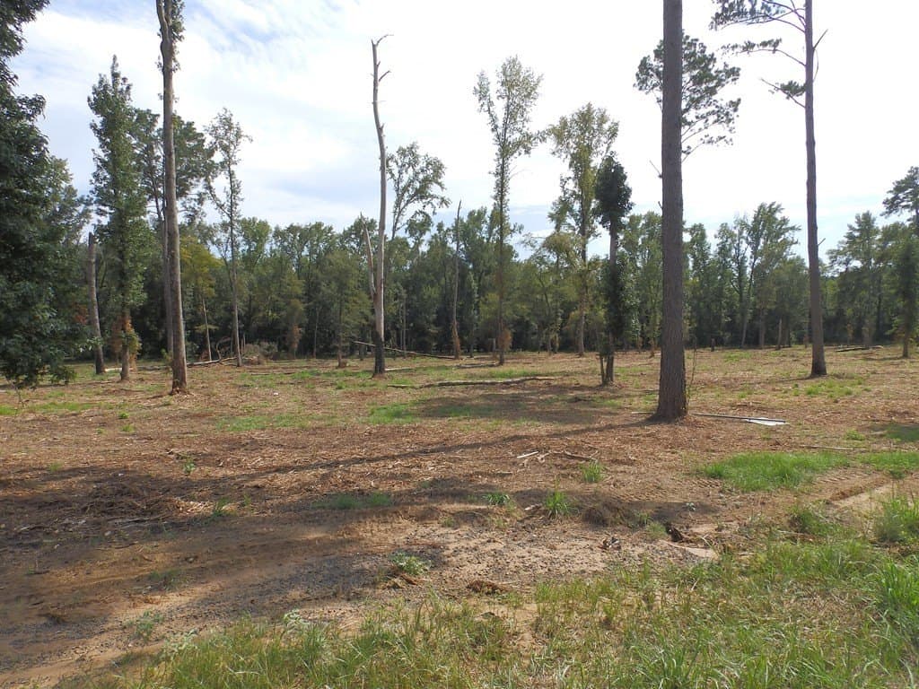 13 acres in Smith County - photo 6