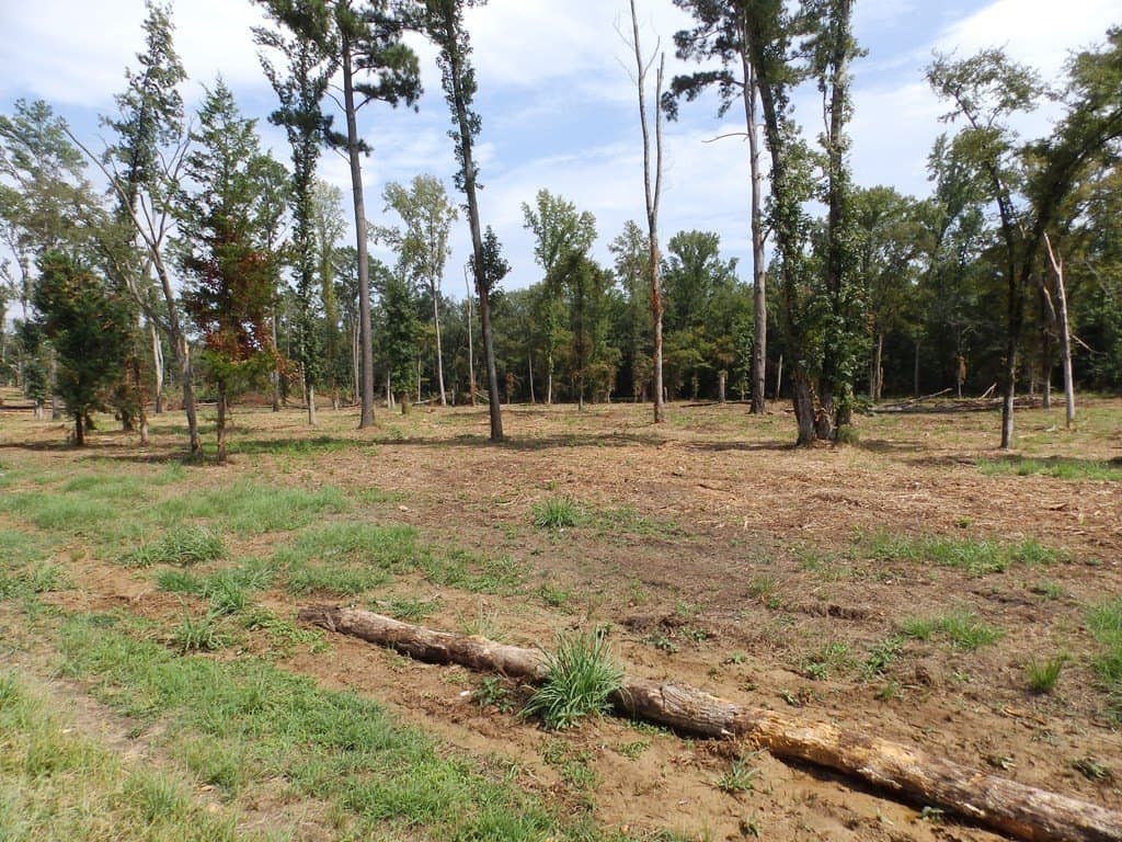 13 acres in Smith County - photo 7