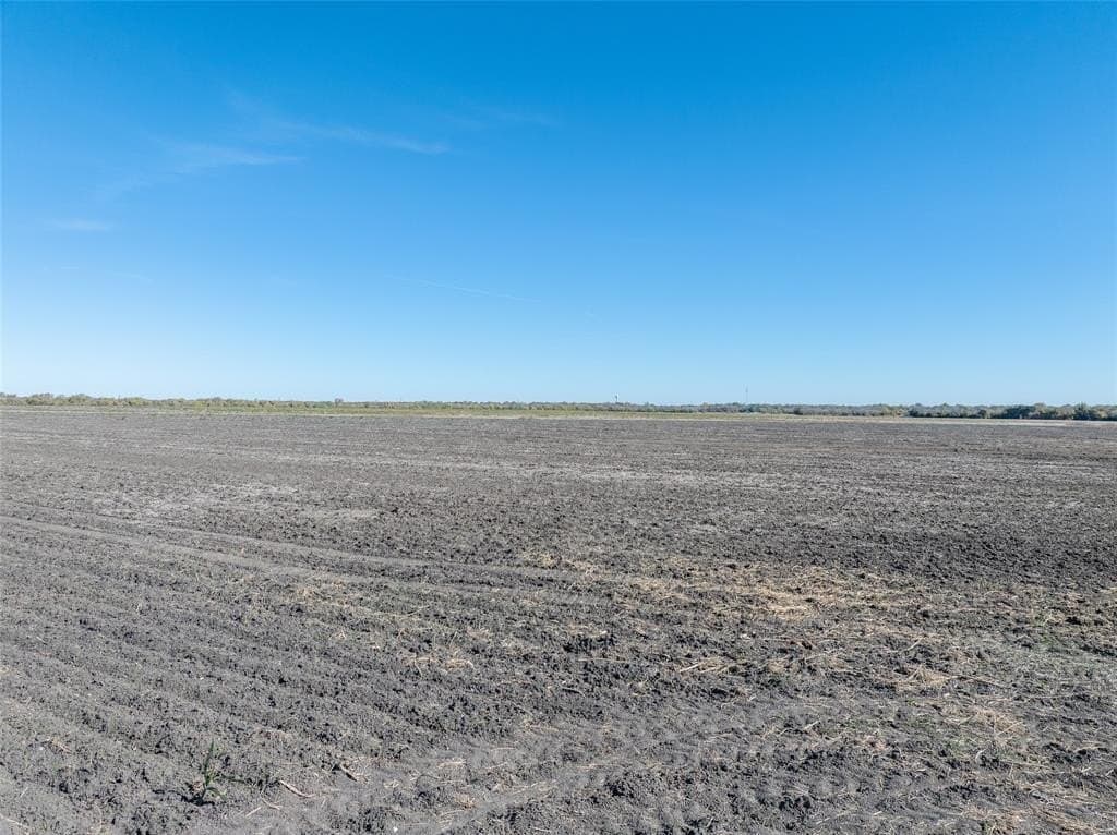 650.18 acres in Lamar County - photo 4