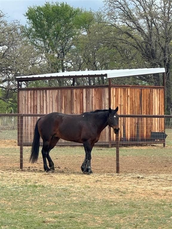 35.32 acres in Erath County - photo 35
