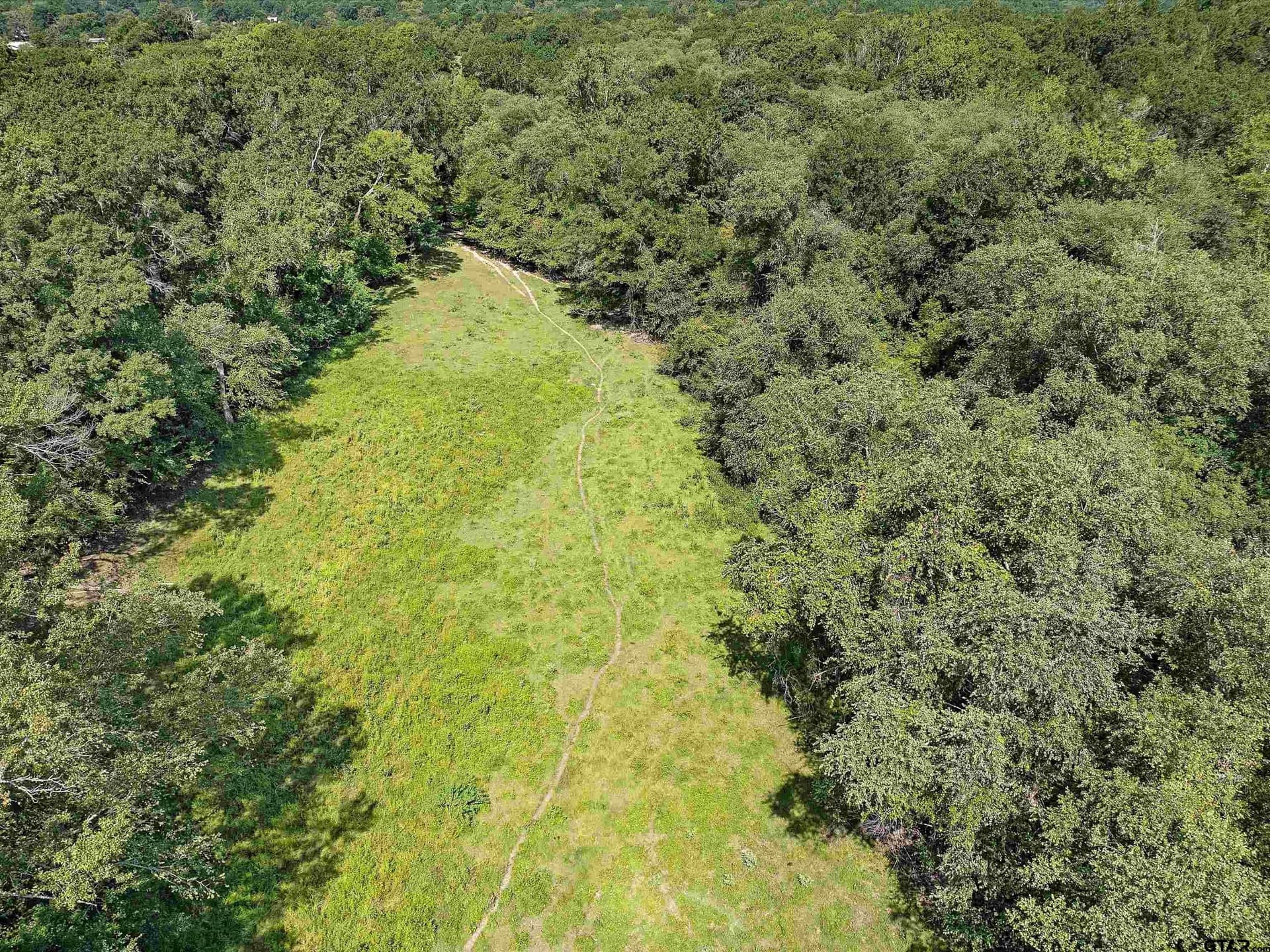 33.7 acres in Rusk County - photo 4