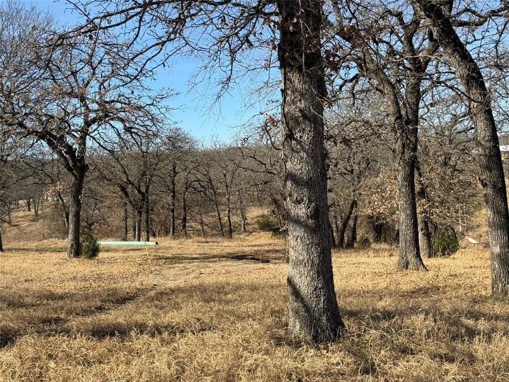 10.62 acres in Wise County - photo 10