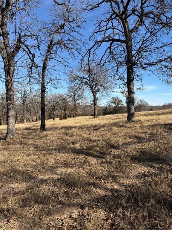 10.62 acres in Wise County - photo 2