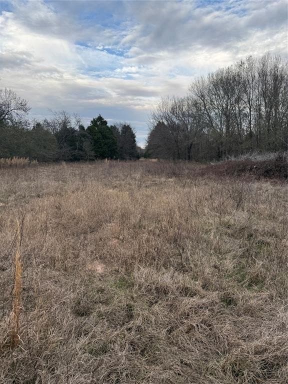 26.21 acres in Henderson County - photo 13