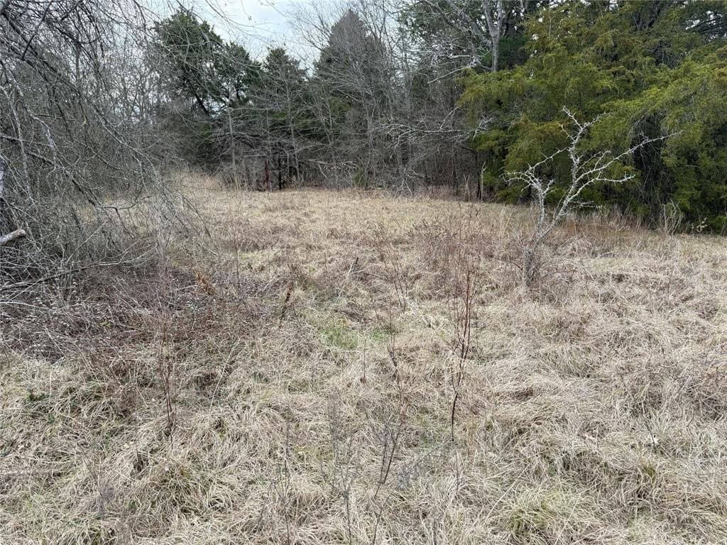 26.21 acres in Henderson County - photo 9