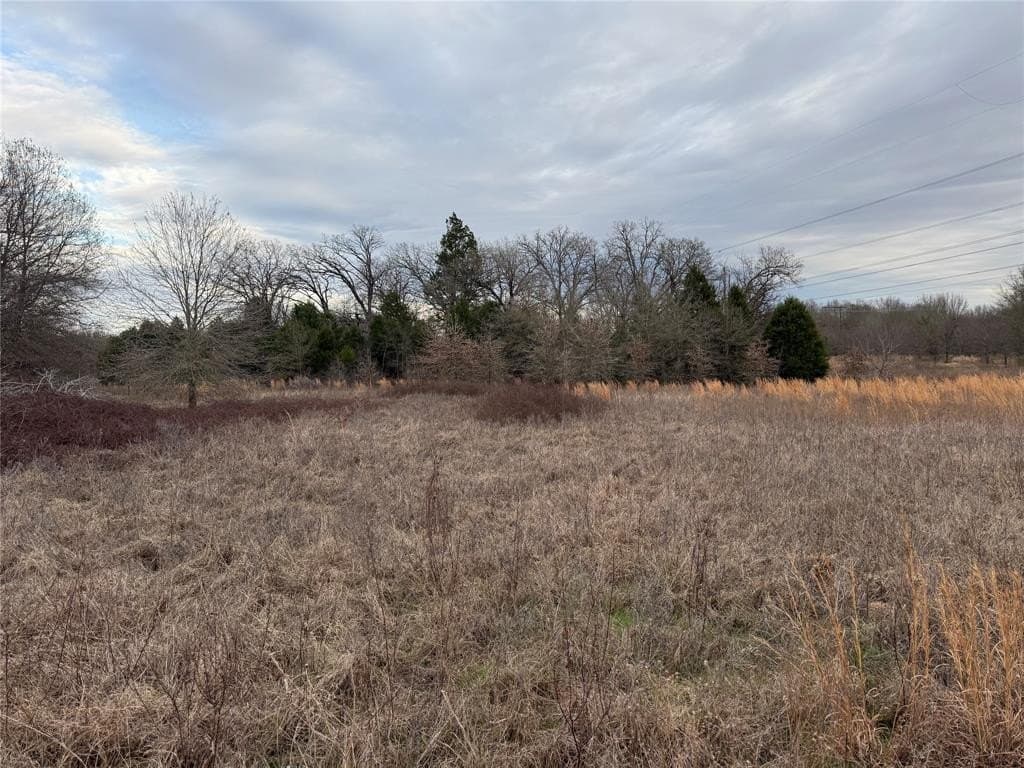26.21 acres in Henderson County - photo 10
