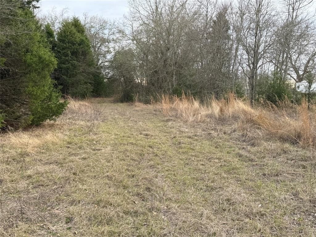 26.21 acres in Henderson County - photo 11