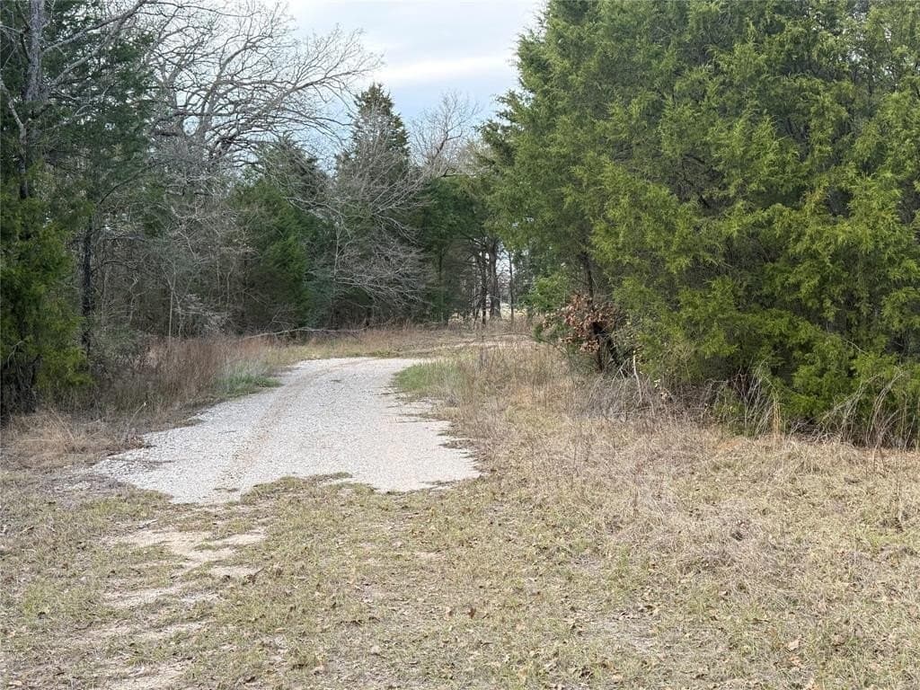 26.21 acres in Henderson County - photo 4
