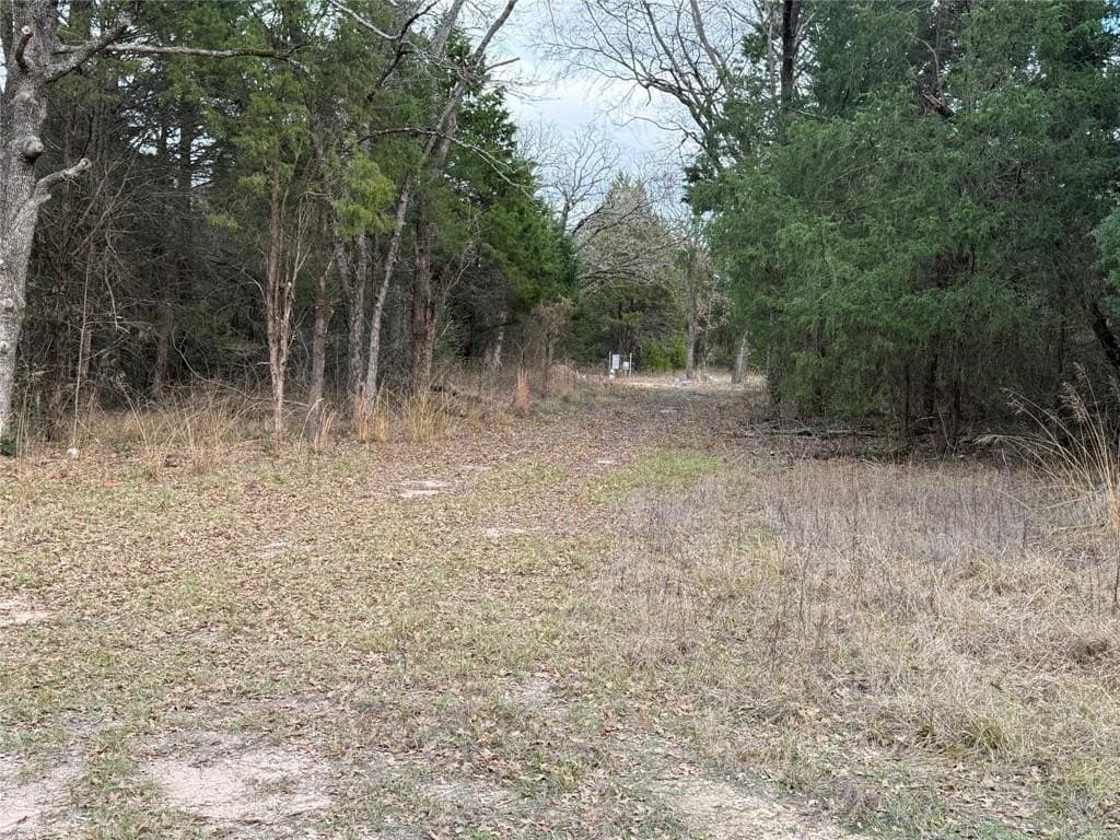 26.21 acres in Henderson County - photo 5
