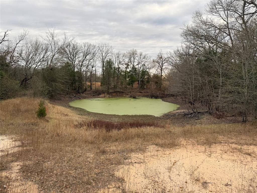 26.21 acres in Henderson County - photo 14