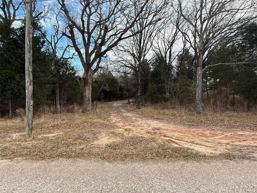 26.21 acres in Henderson County - photo 3