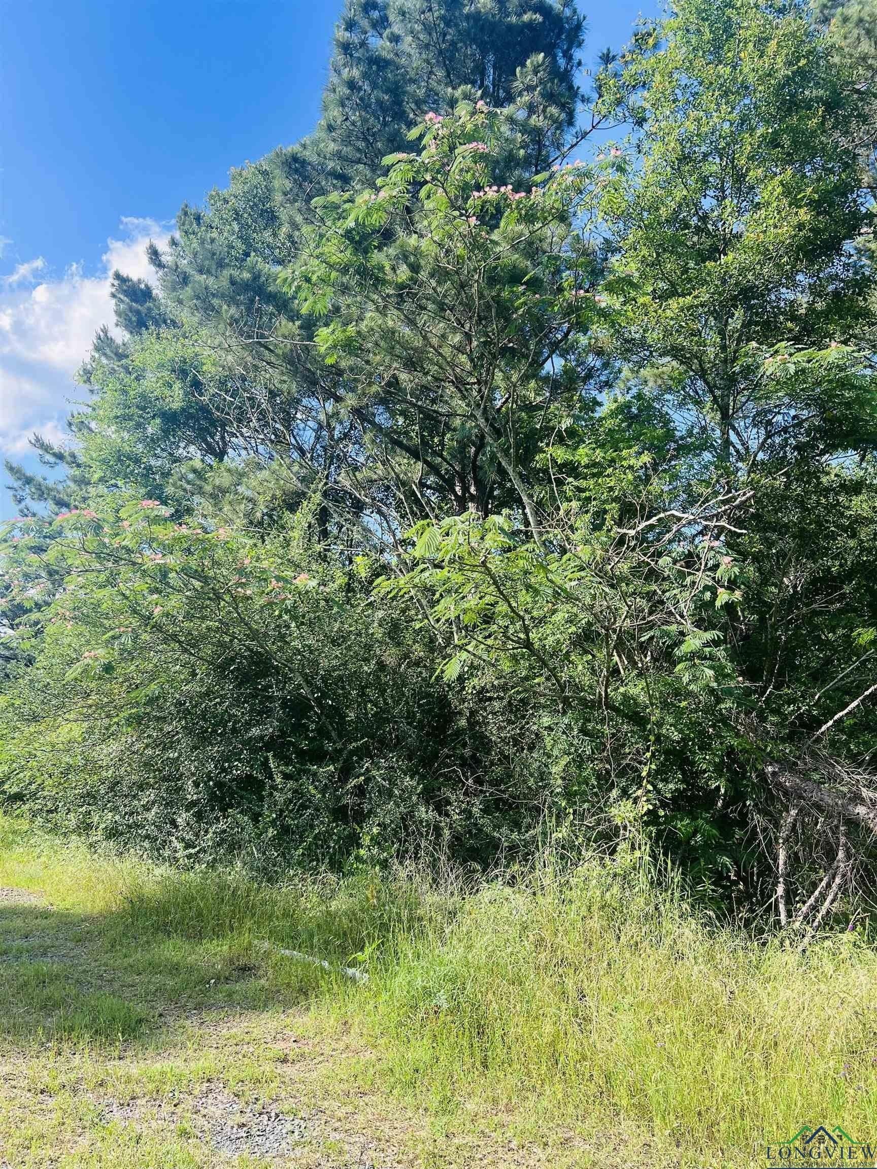 13.5 acres in Shelby County - photo 5