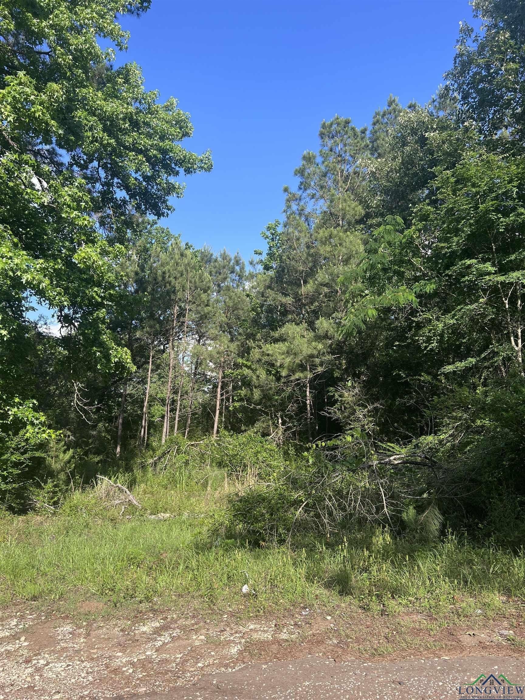 234 County Road 2124