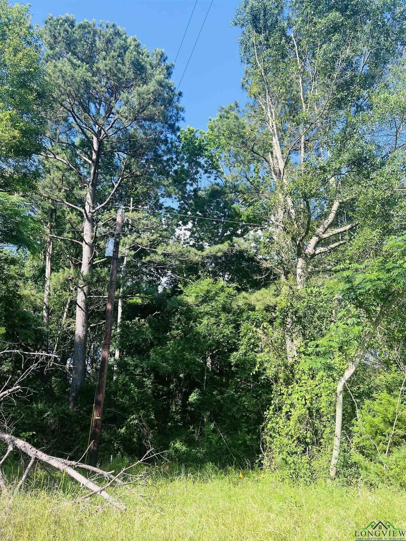 13.5 acres in Shelby County - photo 3