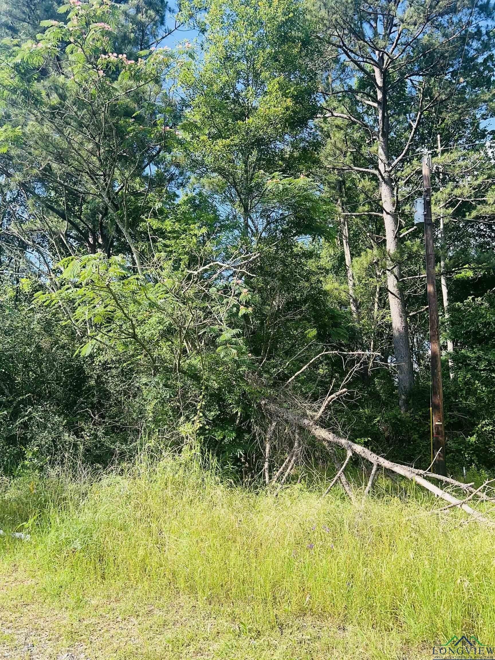13.5 acres in Shelby County - photo 2