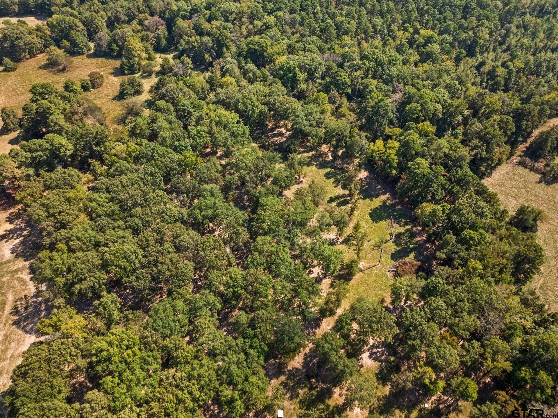 12.51 acres in Upshur County - photo 7