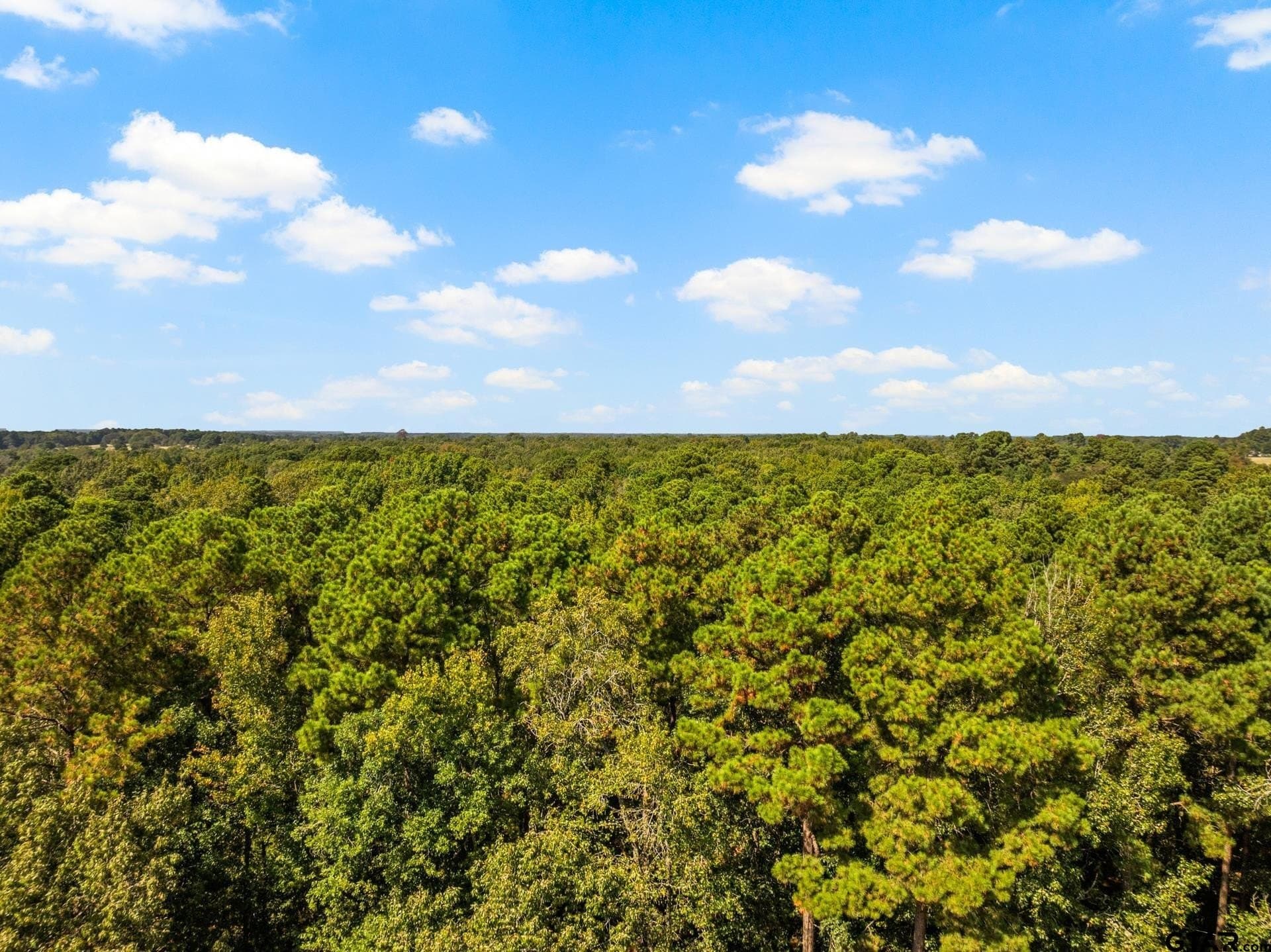 12.51 acres in Upshur County - photo 5