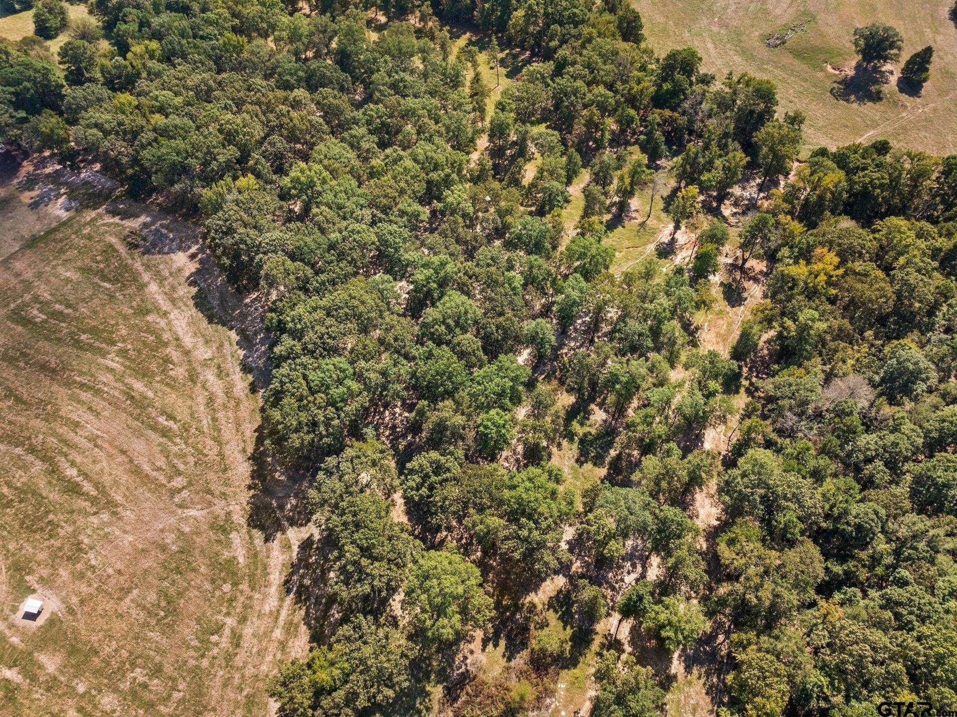 12.51 acres in Upshur County - photo 8