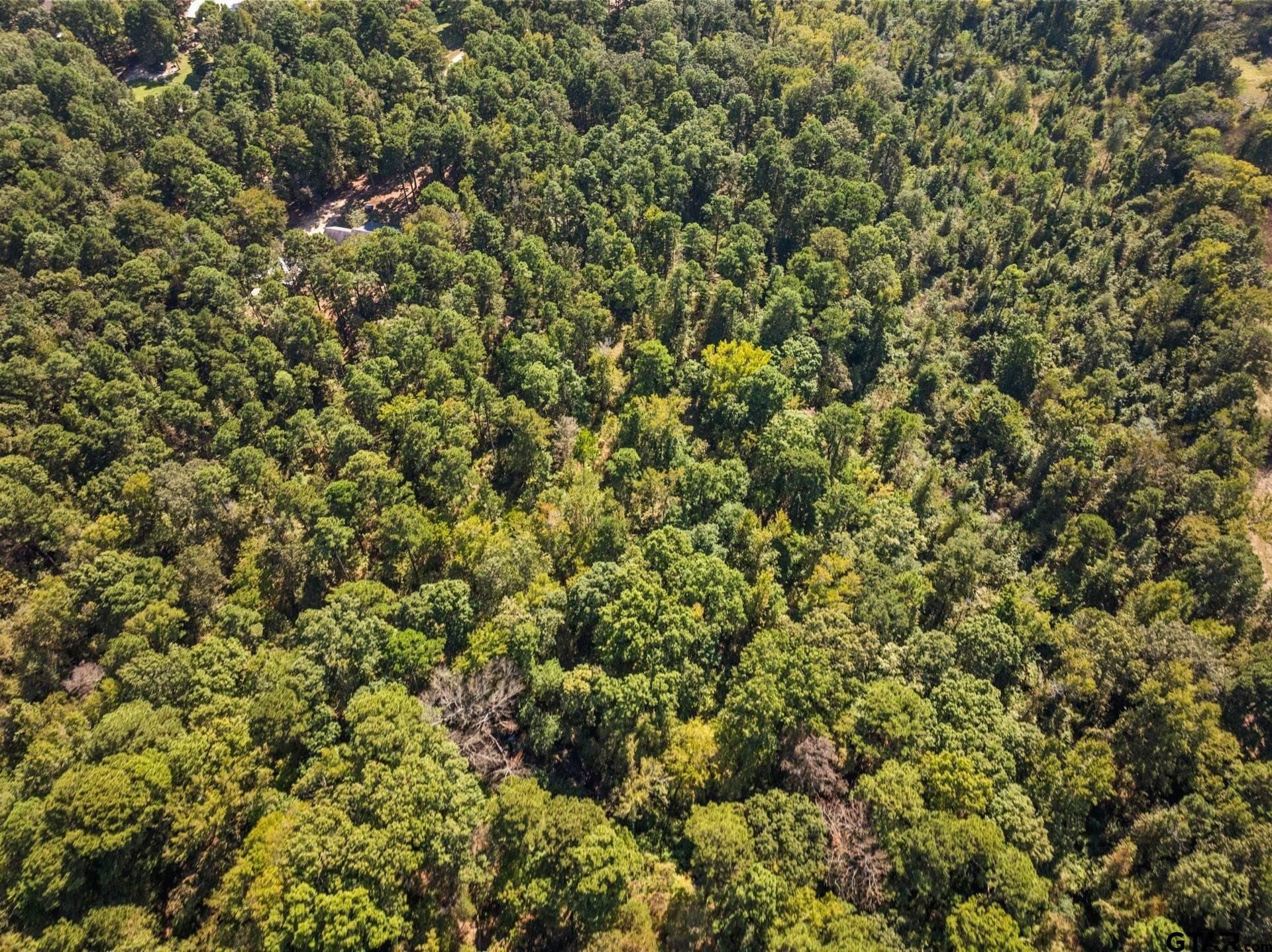 12.51 acres in Upshur County - photo 6