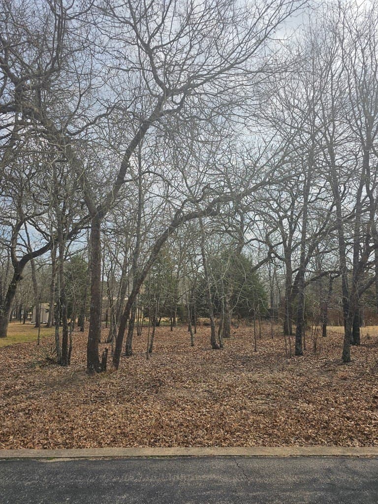 99,999 acres in Henderson County - photo 17