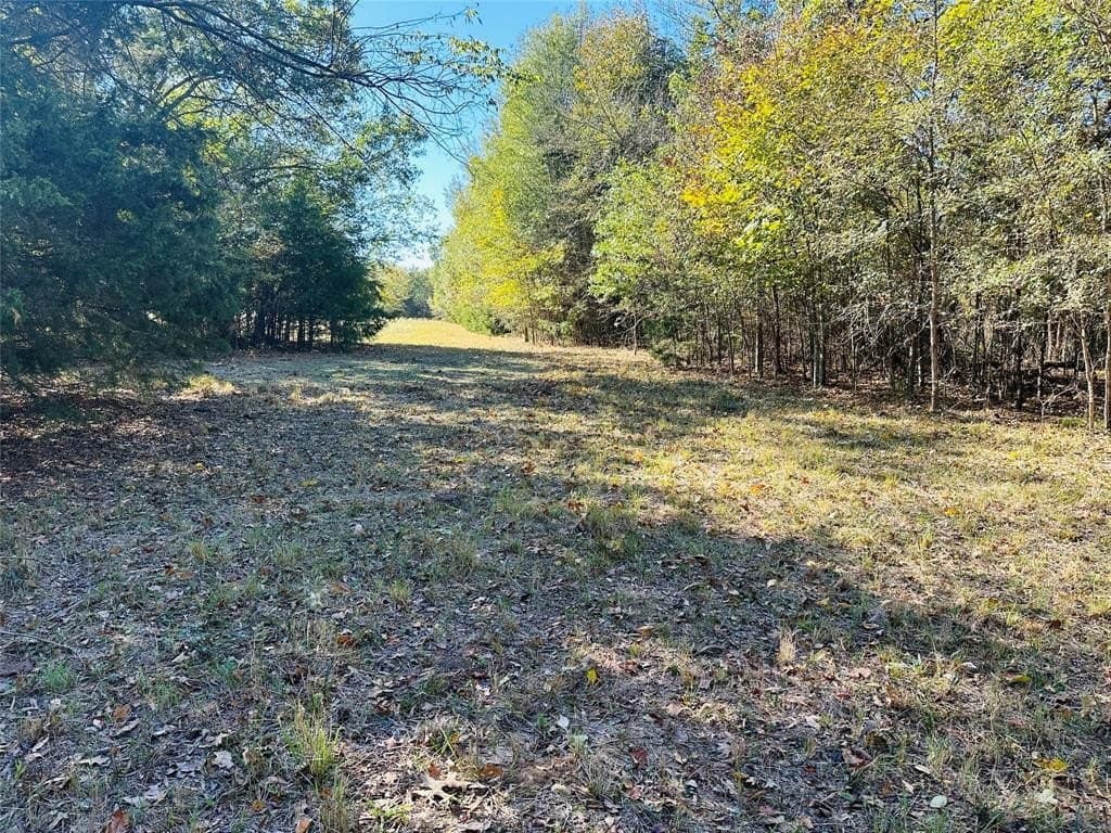 22.11 acres in Hopkins County - photo 6
