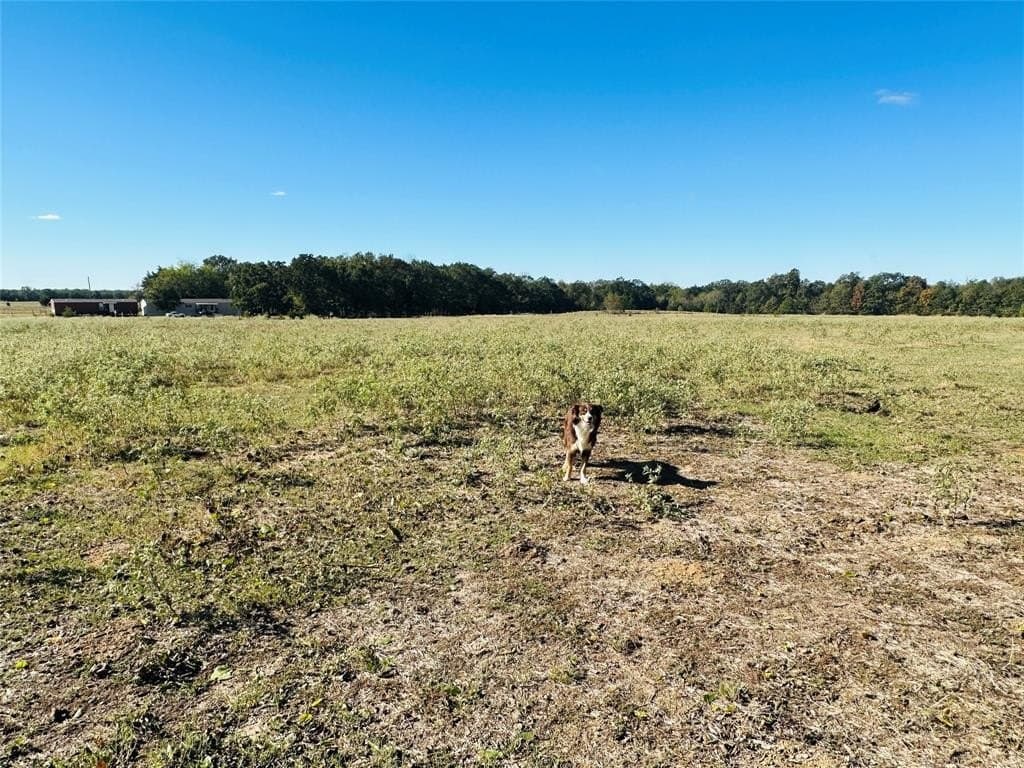 22.11 acres in Hopkins County - photo 12