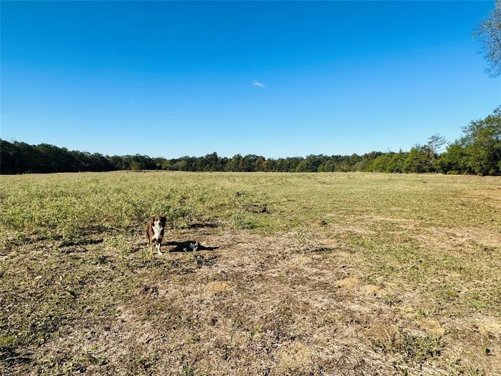 22.11 acres in Hopkins County - photo 10