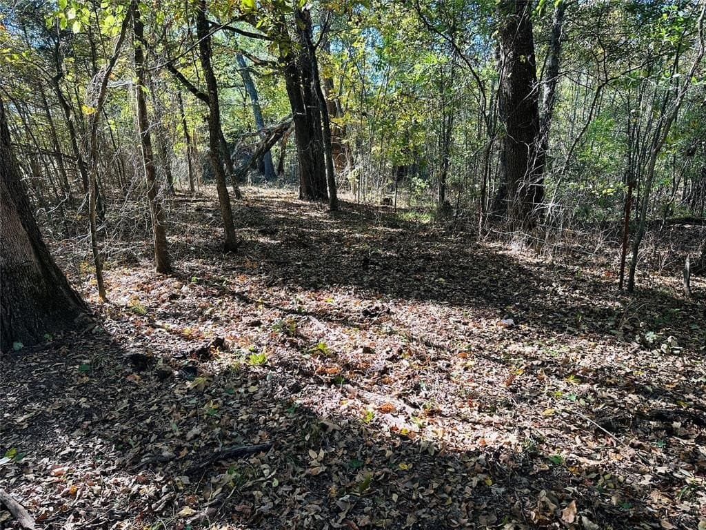 22.11 acres in Hopkins County - photo 7