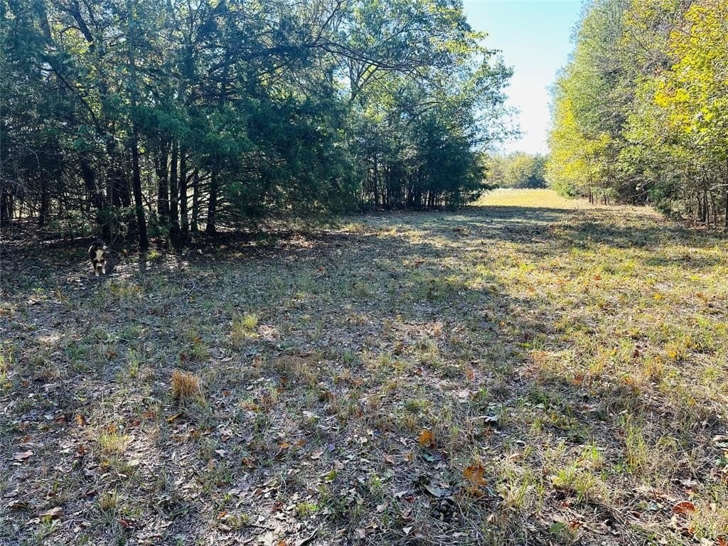 22.11 acres in Hopkins County - photo 8
