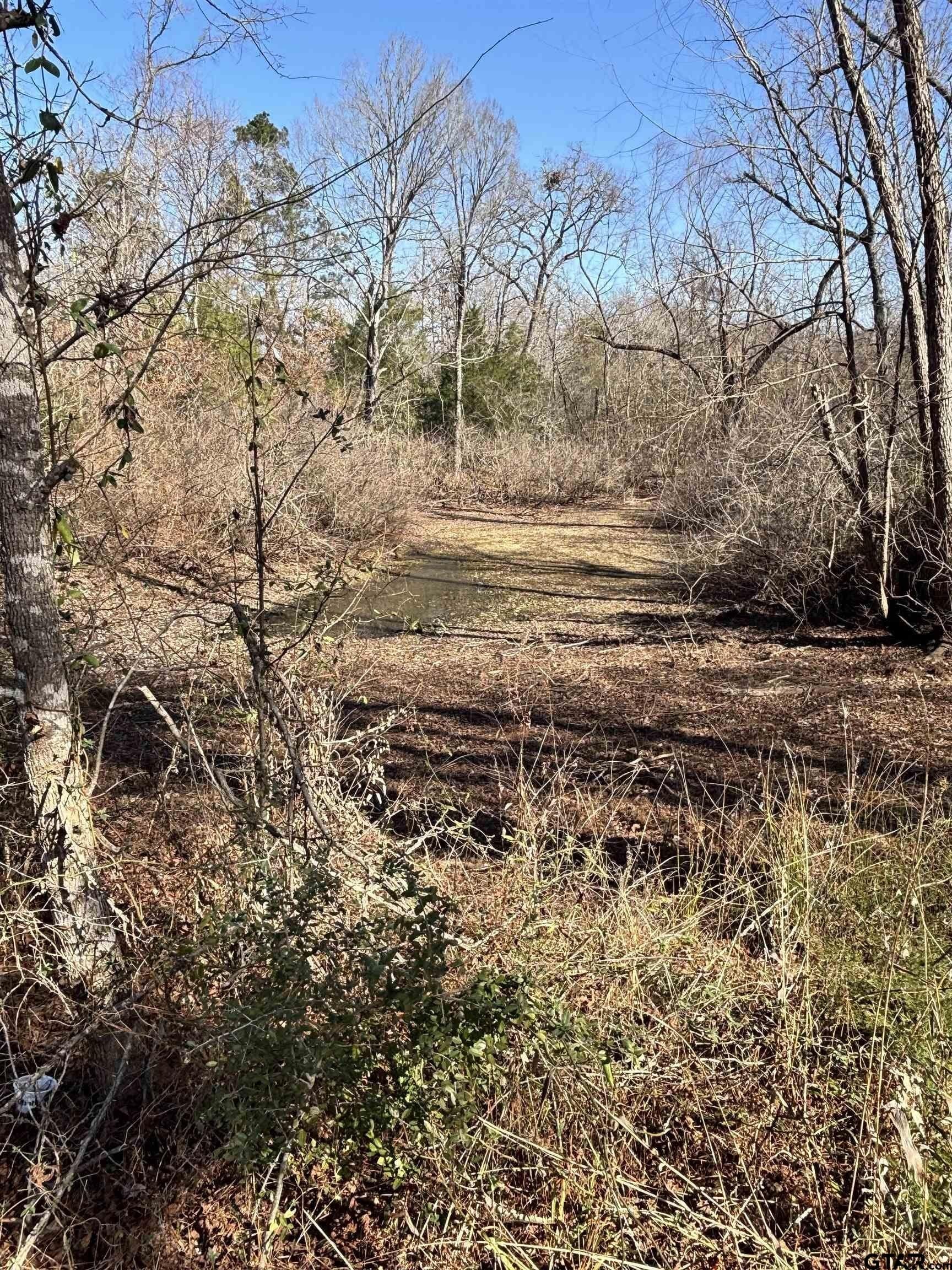 5 acres in Rusk County - photo 4