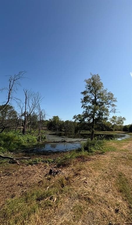 84 acres in Hopkins County - photo 13