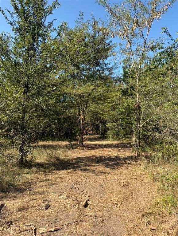84 acres in Hopkins County - photo 10