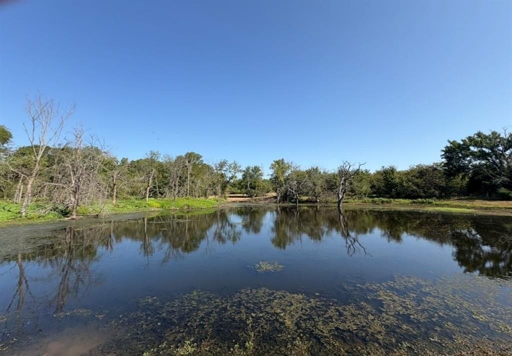 84 acres in Hopkins County - photo 20