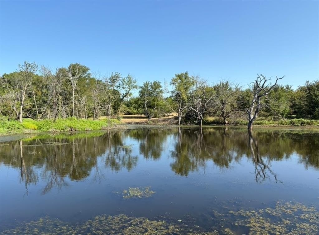 84 acres in Hopkins County - photo 11