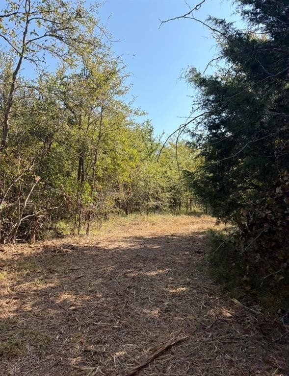 84 acres in Hopkins County - photo 19