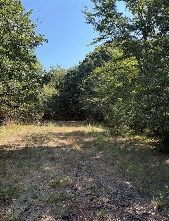 84 acres in Hopkins County - photo 25
