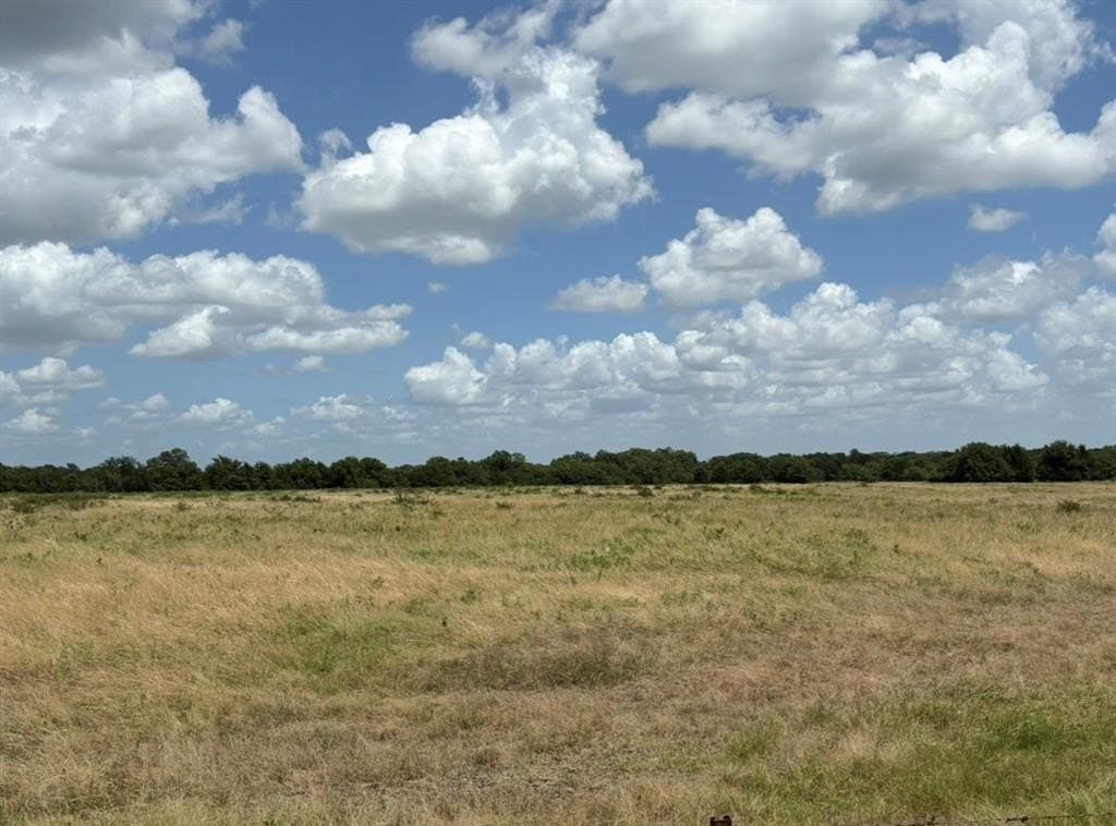 84 acres in Hopkins County - photo 6