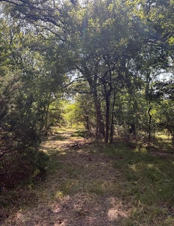 84 acres in Hopkins County - photo 7