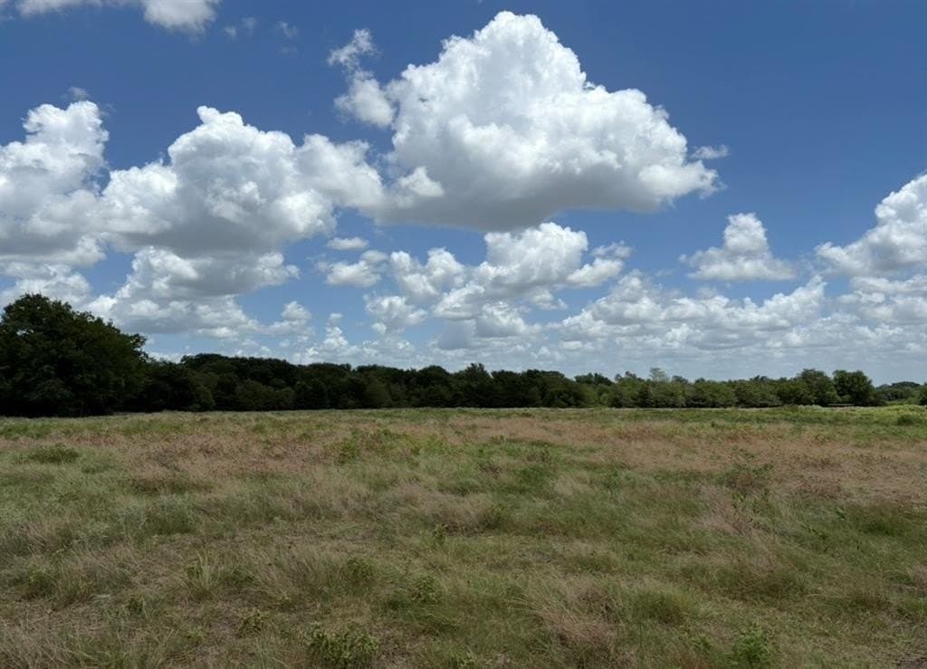 84 acres in Hopkins County - photo 9