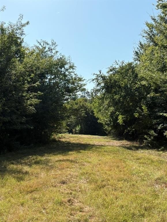 84 acres in Hopkins County - photo 16
