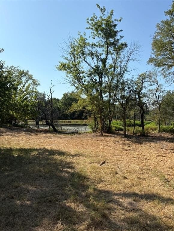84 acres in Hopkins County - photo 14