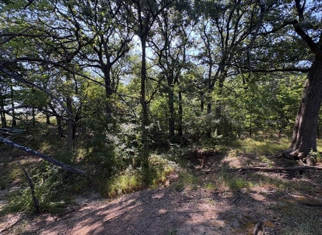 84 acres in Hopkins County - photo 21