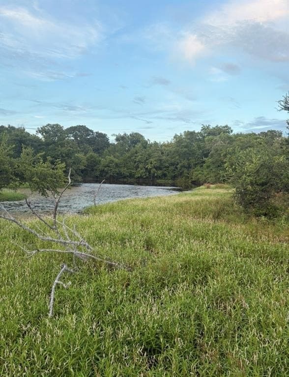 84 acres in Hopkins County - photo 3