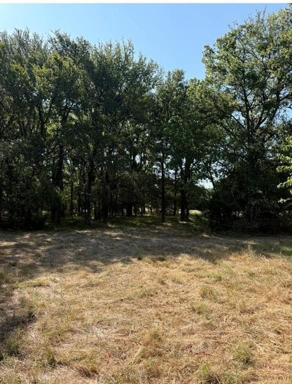 84 acres in Hopkins County - photo 22