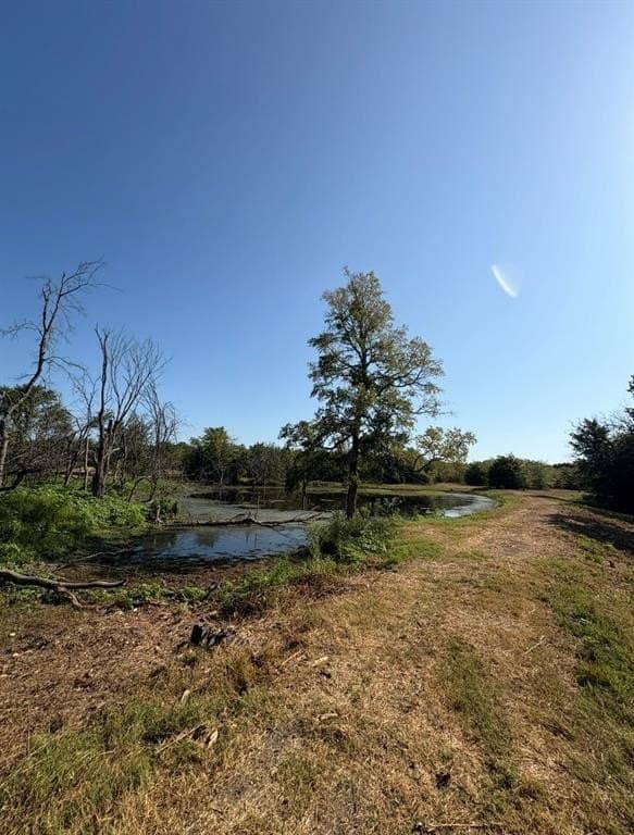 84 acres in Hopkins County - photo 18