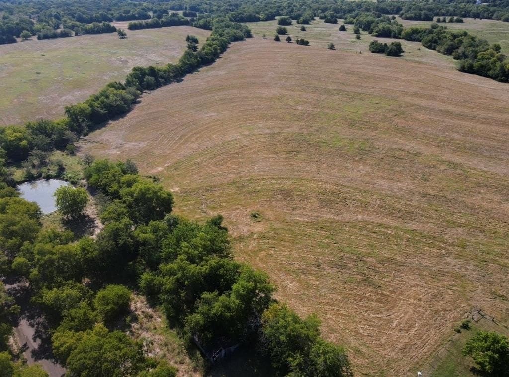 84 acres in Hopkins County - photo 17