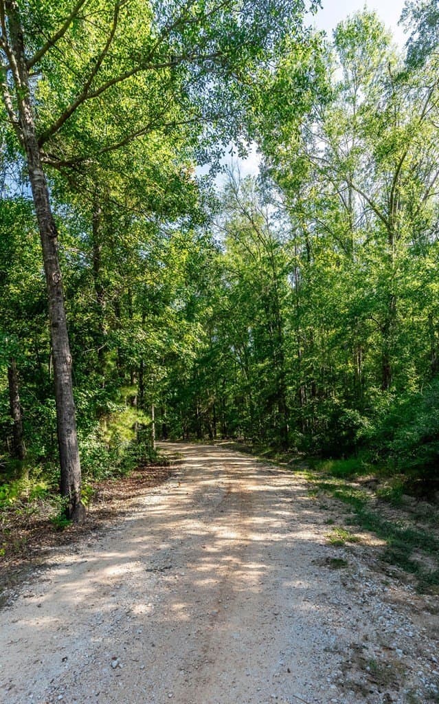 17.12 acres in ANDERSON County - photo 50