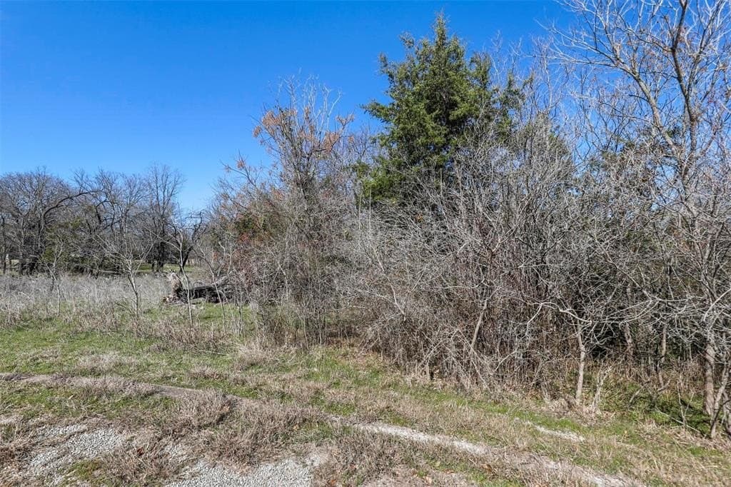 0.19 acres in Hill County - photo 6